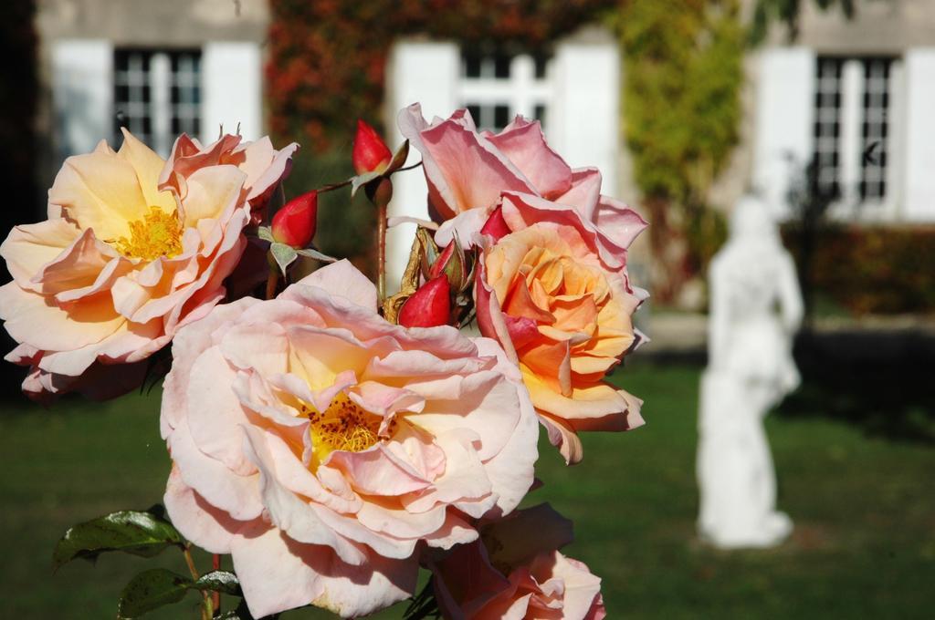 Bed and Breakfast Domaine De La Queyssie Saussignac Экстерьер фото